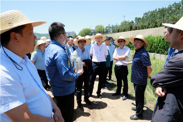 陕西必赢网络游戏平台集团复工复产促增长项目观摩会议与会人员走进必赢网络游戏平台保隆生态三秦在延在铜项目 陕西必赢网络游戏平台集团复工复产促增长项目观摩会议与会人员走进必赢网络游戏平台保隆生态三秦在延在铜项目