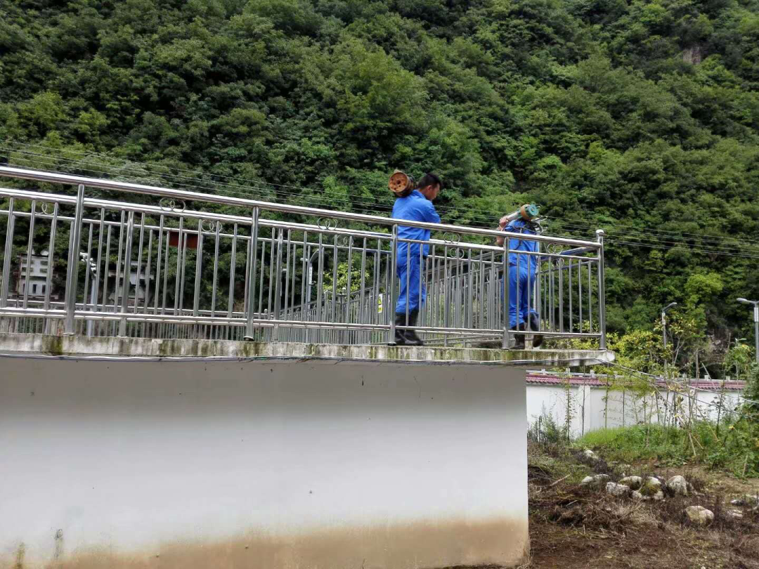 这个端午节，水环境人这么过（二）