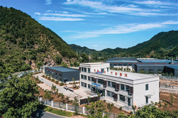 陕西必赢网络游戏平台集团：全面深化国企改革 激活企业发展“一汪清水”